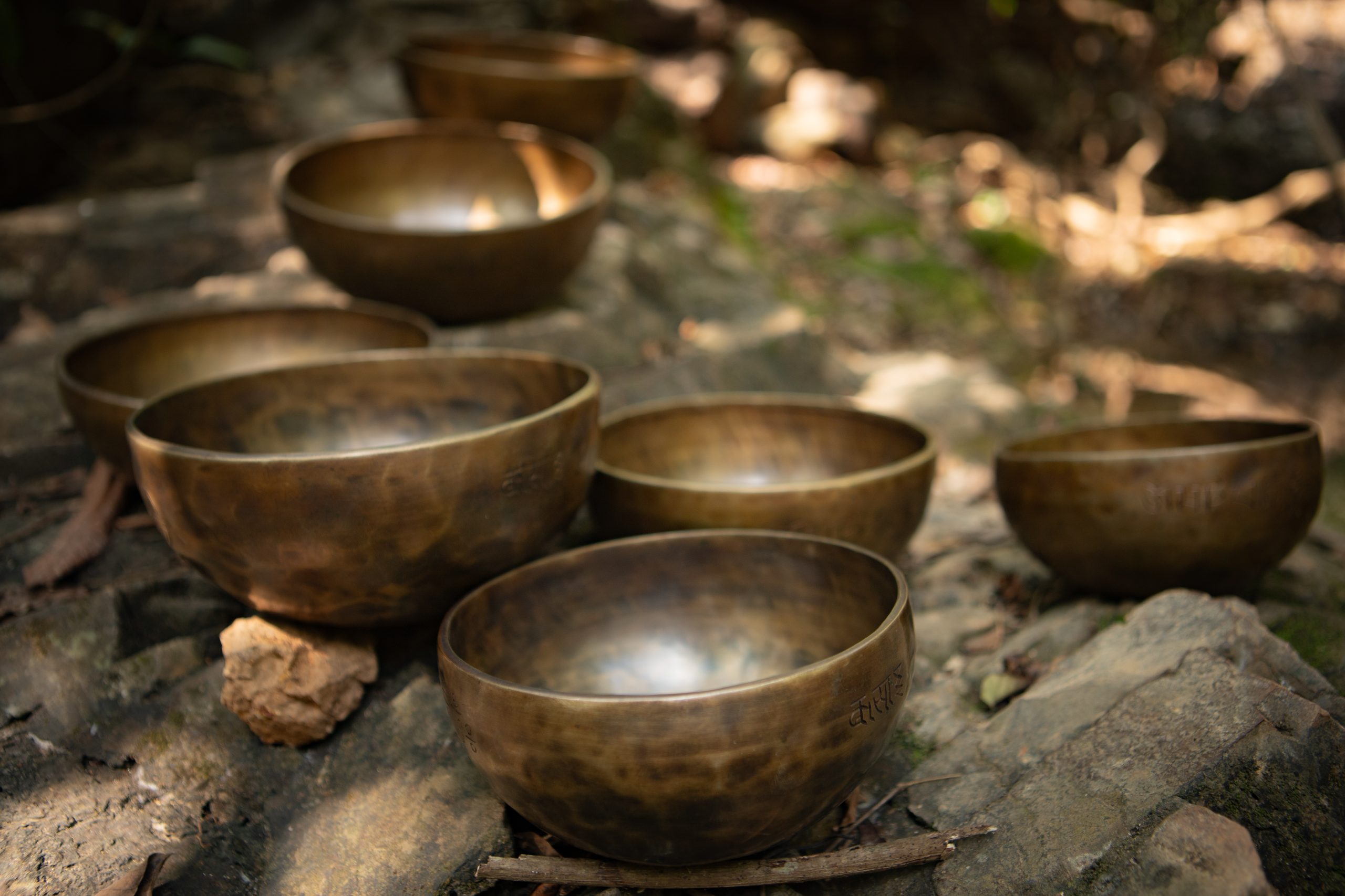 Read more about the article Kurs Terapii Dźwiękiem Mis Tybetańskich I i II Stopień  30.01-01.02.2016